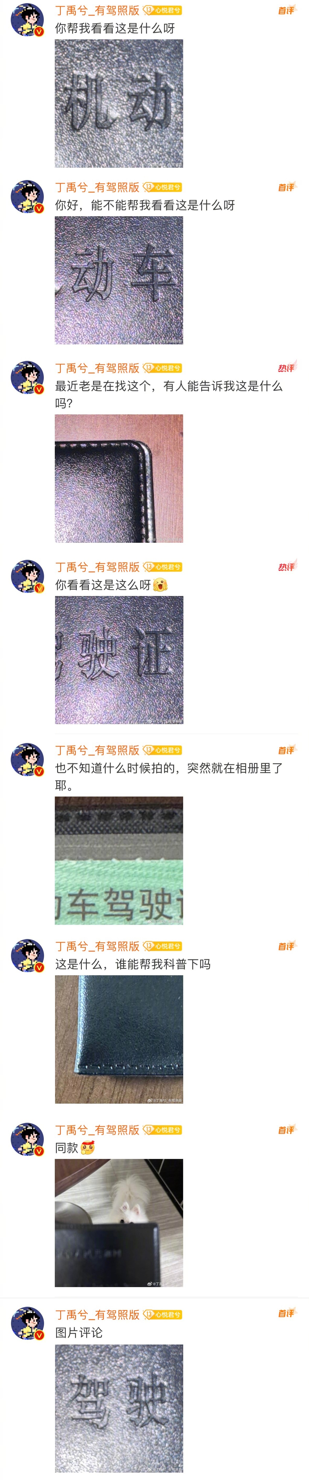 丁禹兮：机动车驾驶证站哥[抱抱]无死角怼脸大直拍 🈶  