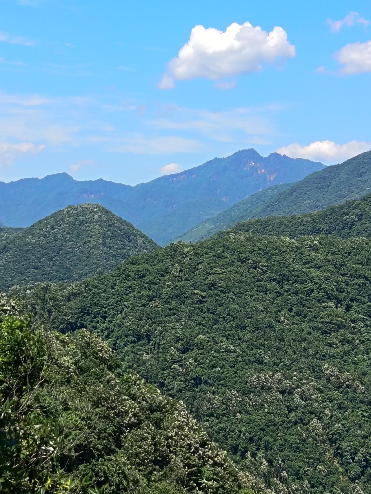 城固的“北极”——终溪沟、文家坝。

城固北极路迢遥，
群山相拥水连绦。
小径隐