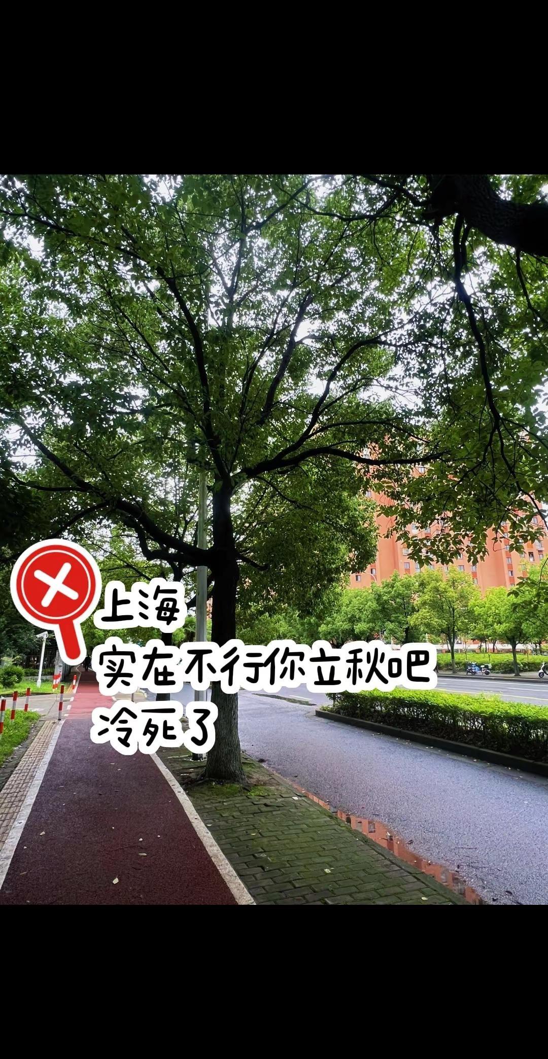 今天上海像立秋了一样，要不夏天提早结束好了，一键入秋，冷{{(°△°; "}}!