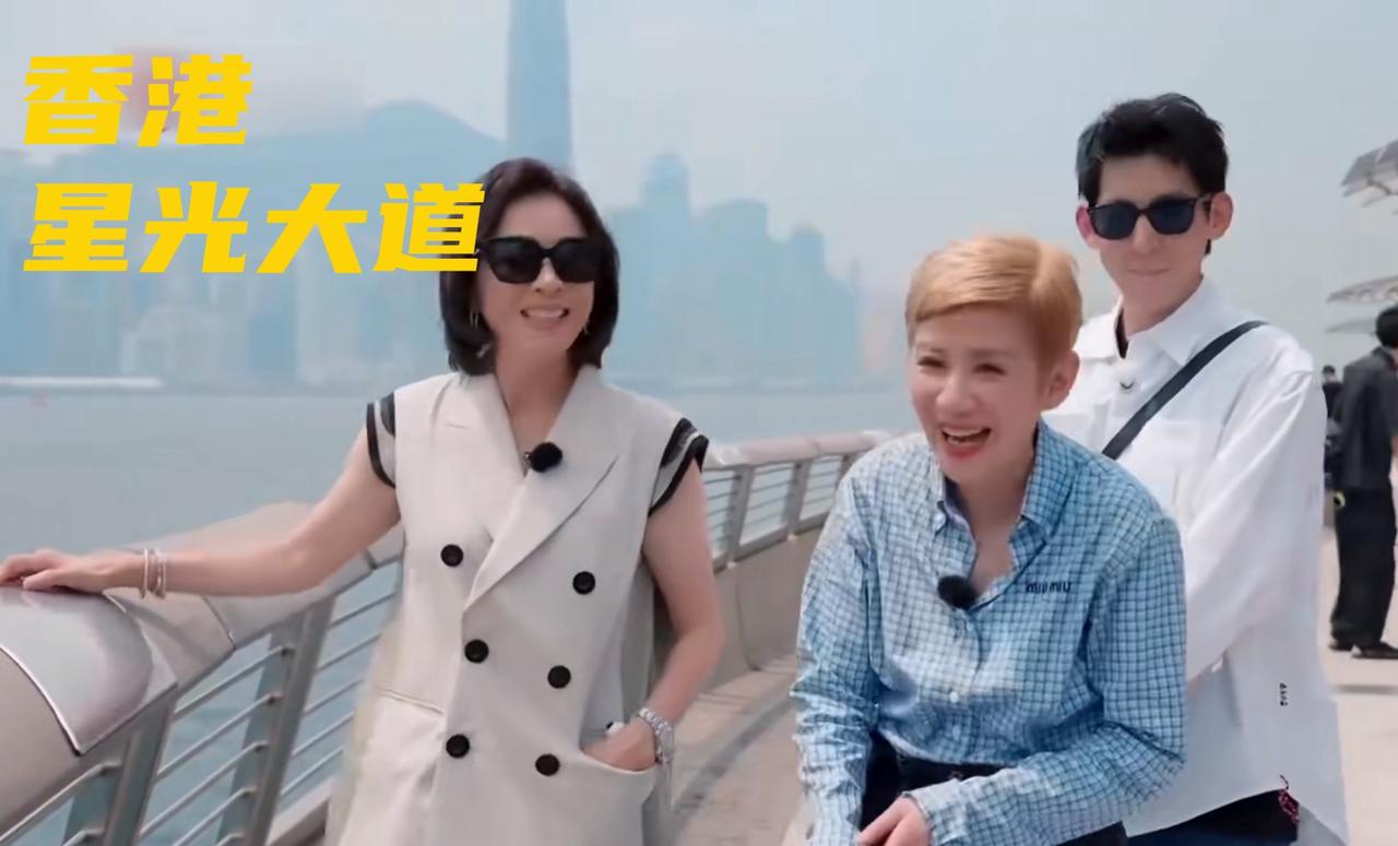 吴君如和刘嘉玲一起到星光大道看手印，当吴君如看到自己手印下的个人简介，“大笑姑婆