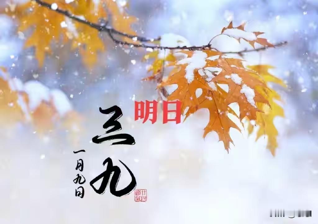 明日进三九！老话“三九暖洋洋，坟头遍地起”吓人？真相来了
 
三九天农谚揭秘 冬