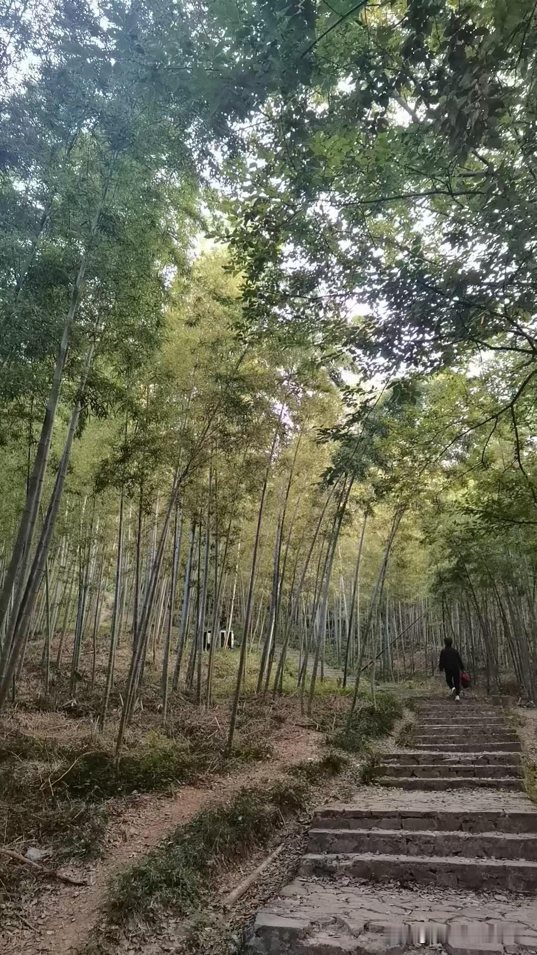 什么季节干什么事，必须马上不能耽搁

昨天是重阳节，兄弟携手登高的日子。

本来