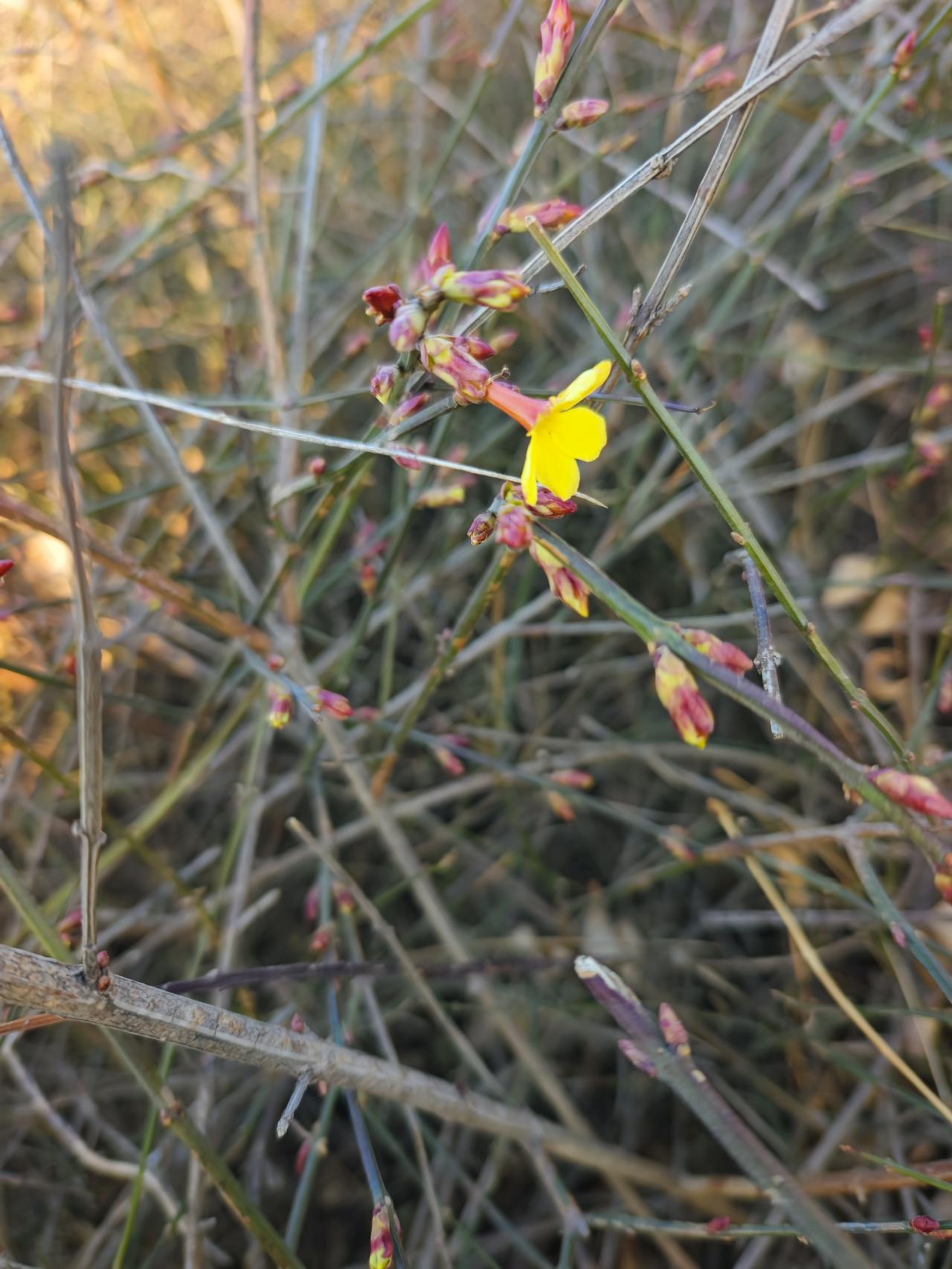 一滴泪的重量，在于它滴在谁的心上！