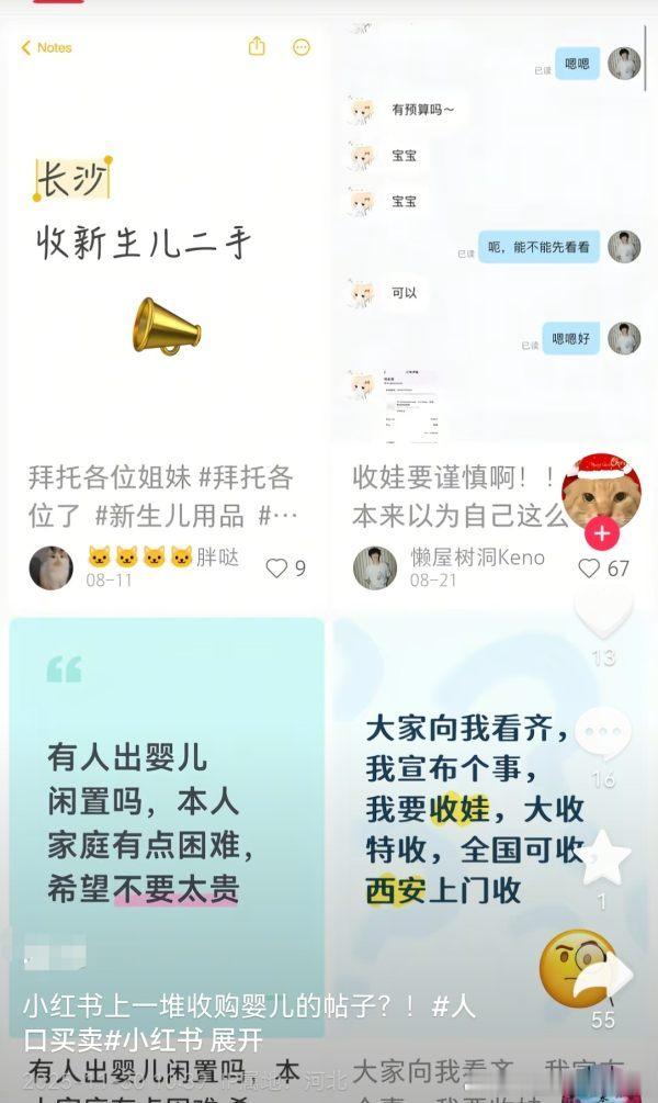 感觉阅读理解能力为0 