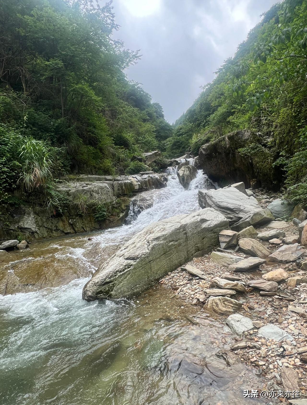 55岁那年，我亲眼看着李姐交了退休报告——办公室里，她笑得眼角堆起褶子，像藏着什