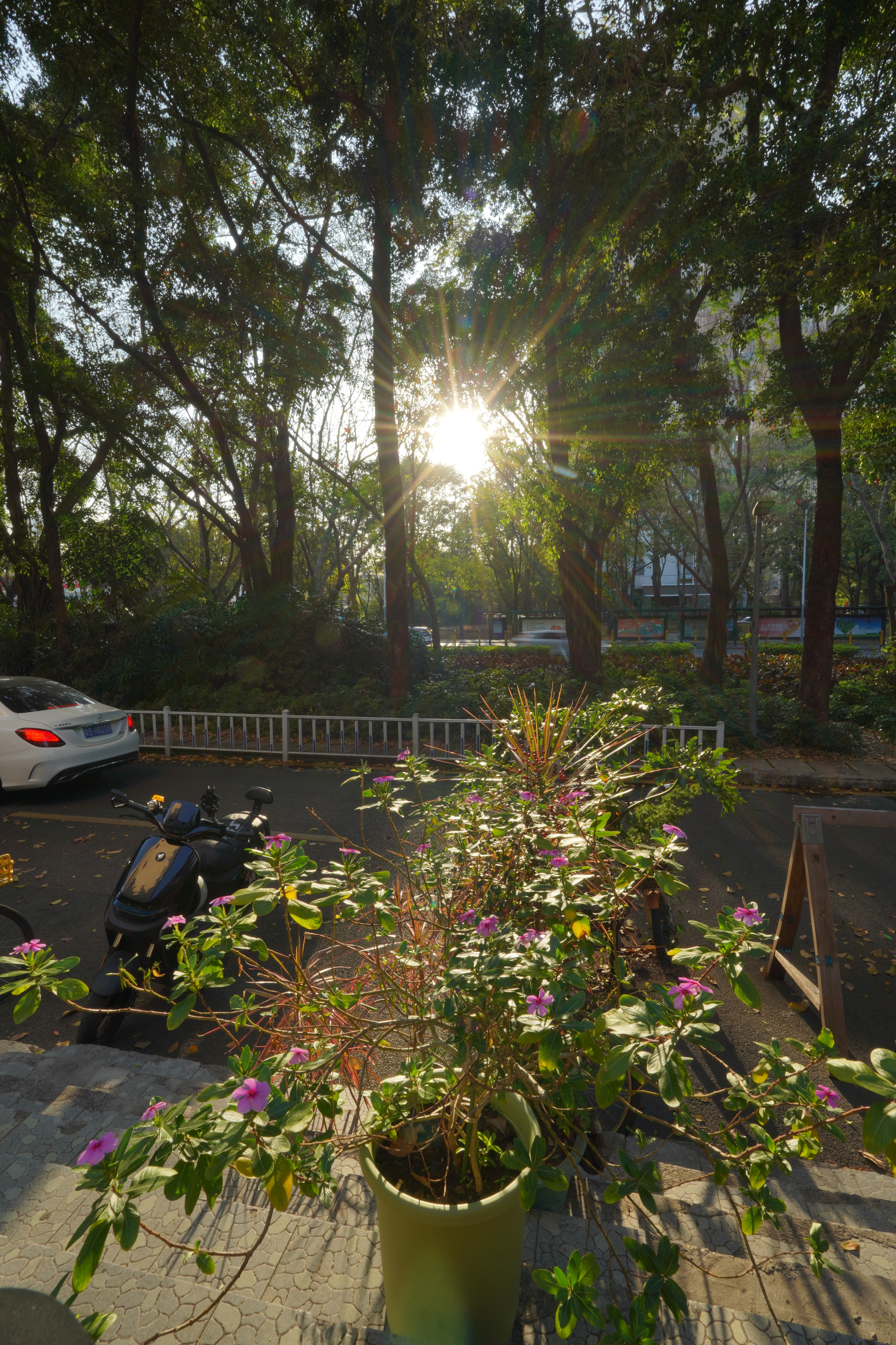 这袋子能看出老家是哪里吗？我的日常plog深圳好多车SOMECAR