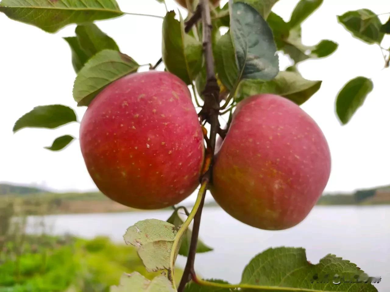 养自己得孩子，宠自己的娃！！！哈哈这一次，为开封点赞，活着就是为了孩子，谁的青春
