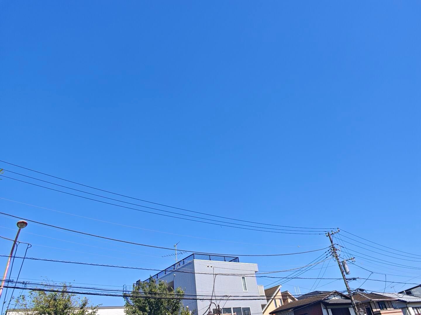 湘南的天气是极好的，除了会把我这个昼伏夜出的晒死 