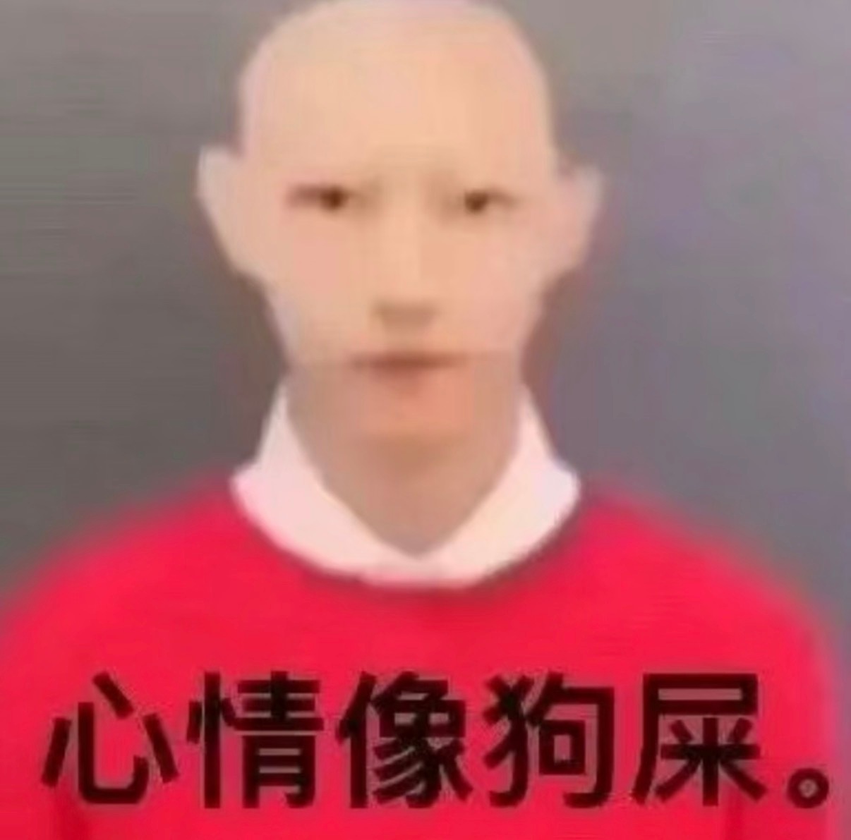 分享图片 