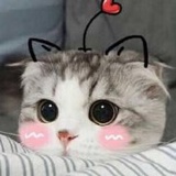 航楠侃侃汽车
