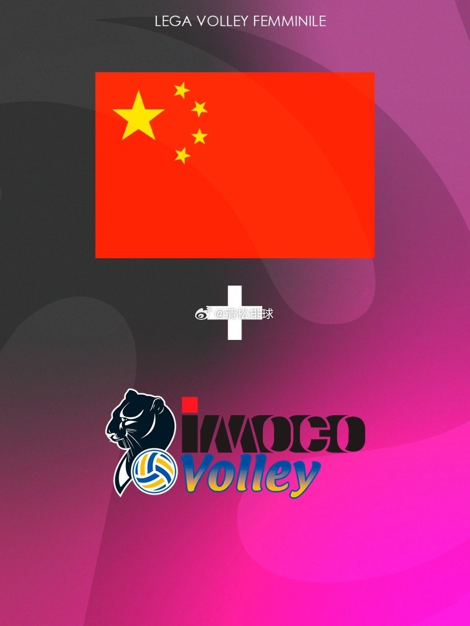 意甲女排，这都是谁