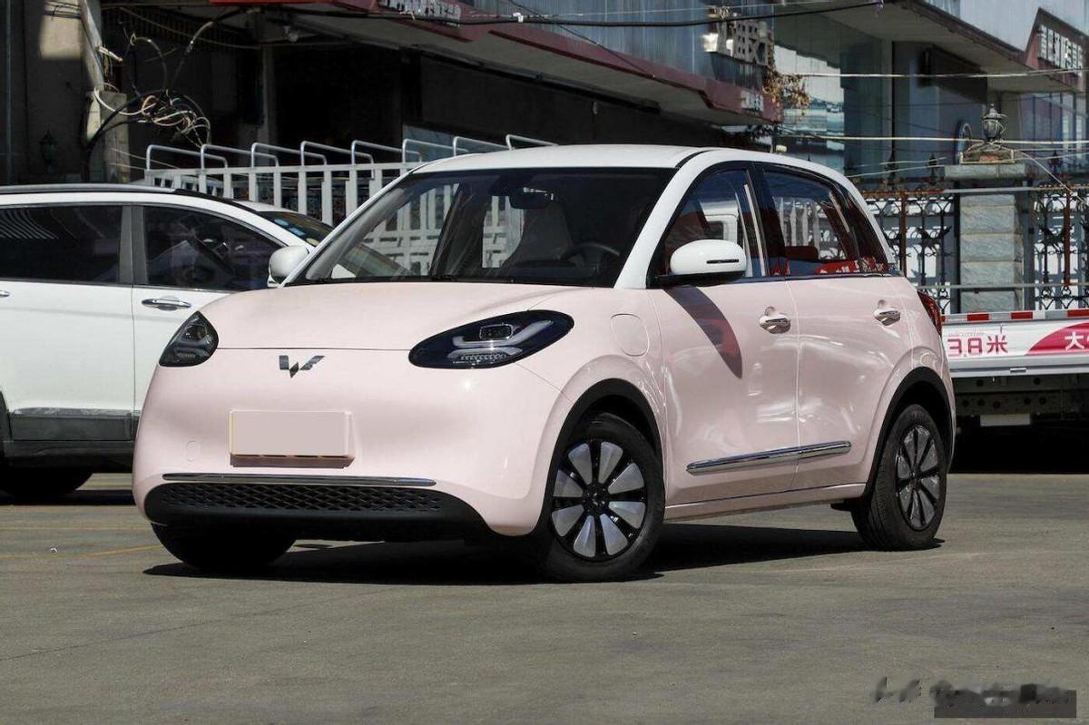 6到10万元能选什么样的纯电家用车？其实在这个细分市场中的可选性并不多，真想要选