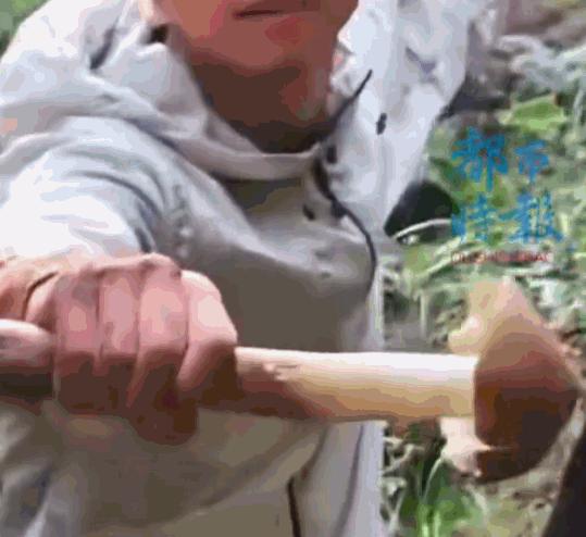 天降横财！7月7日，重庆一位小伙上山溜达一圈，竟然捡到了一根快有他小臂长的“巨无