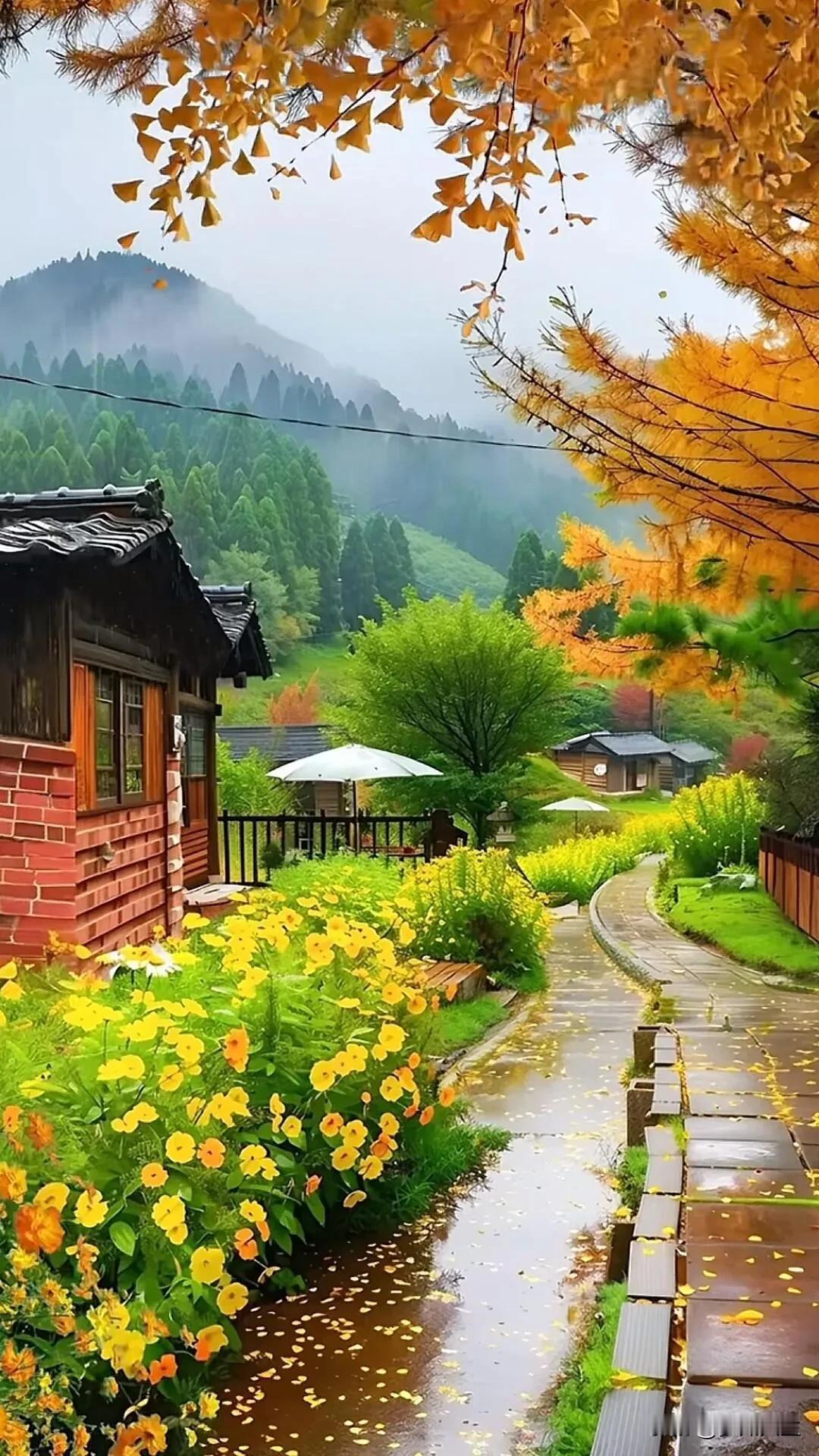 #分享相册里最美的风景##美景照片分享# #手机风景照分享# #分享美景照片# 