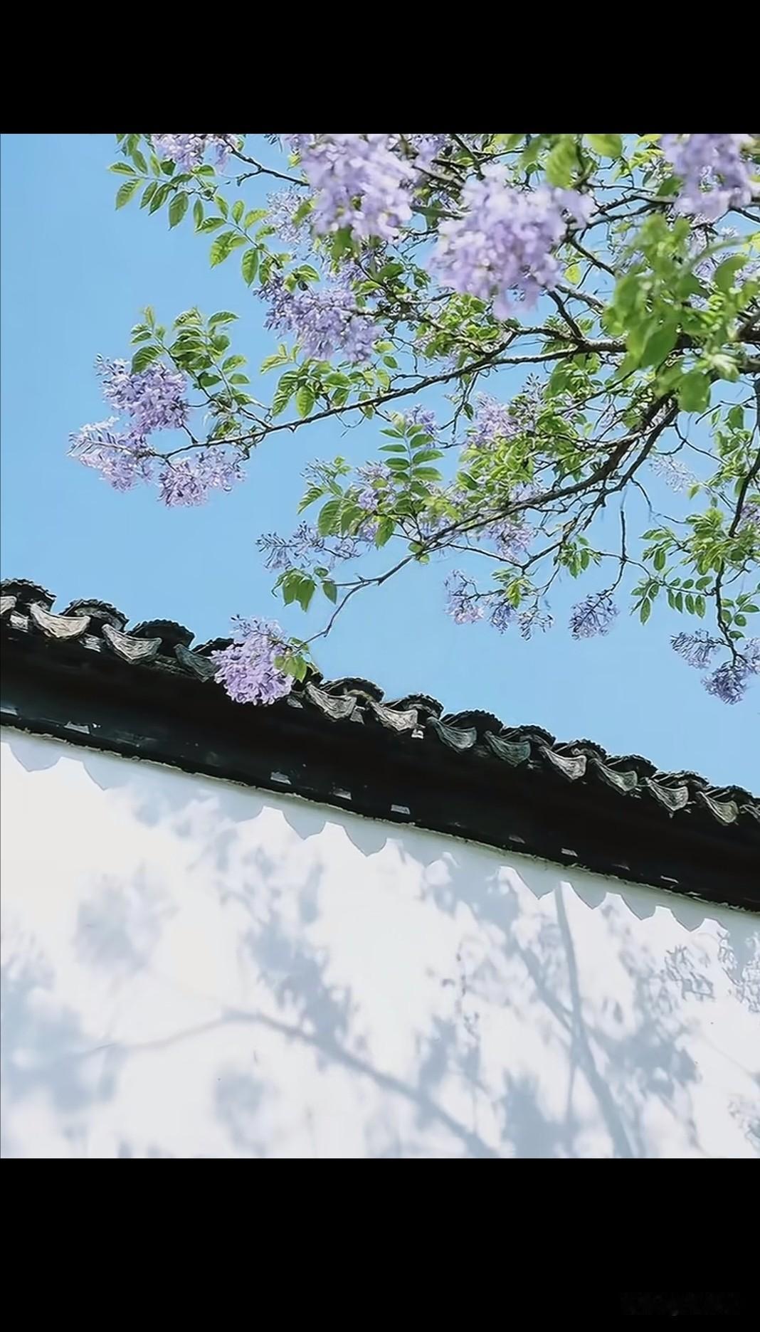 解决心情差，有10个方法
一、洗澡，一边洗一边大声唱歌。
二、去游乐场疯玩一天。