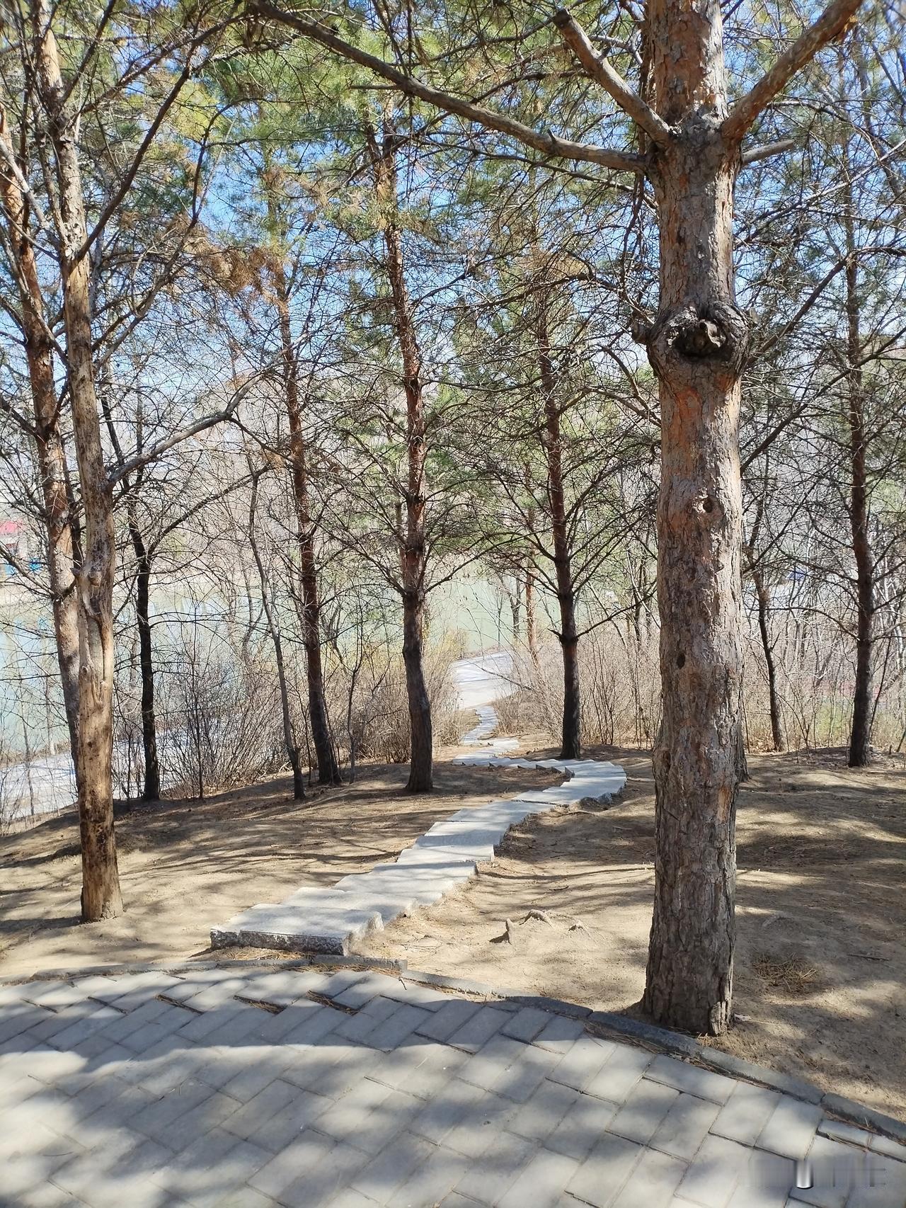 特朗普称自己是和平缔造者，这一点，我非常认可。
    无数的事实已经证明了这一