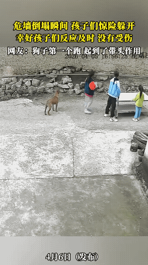 孩子们发现墙体要倒的险情后，毫不犹豫的快速跑离。
万幸！小朋友反应快，小黄的反应