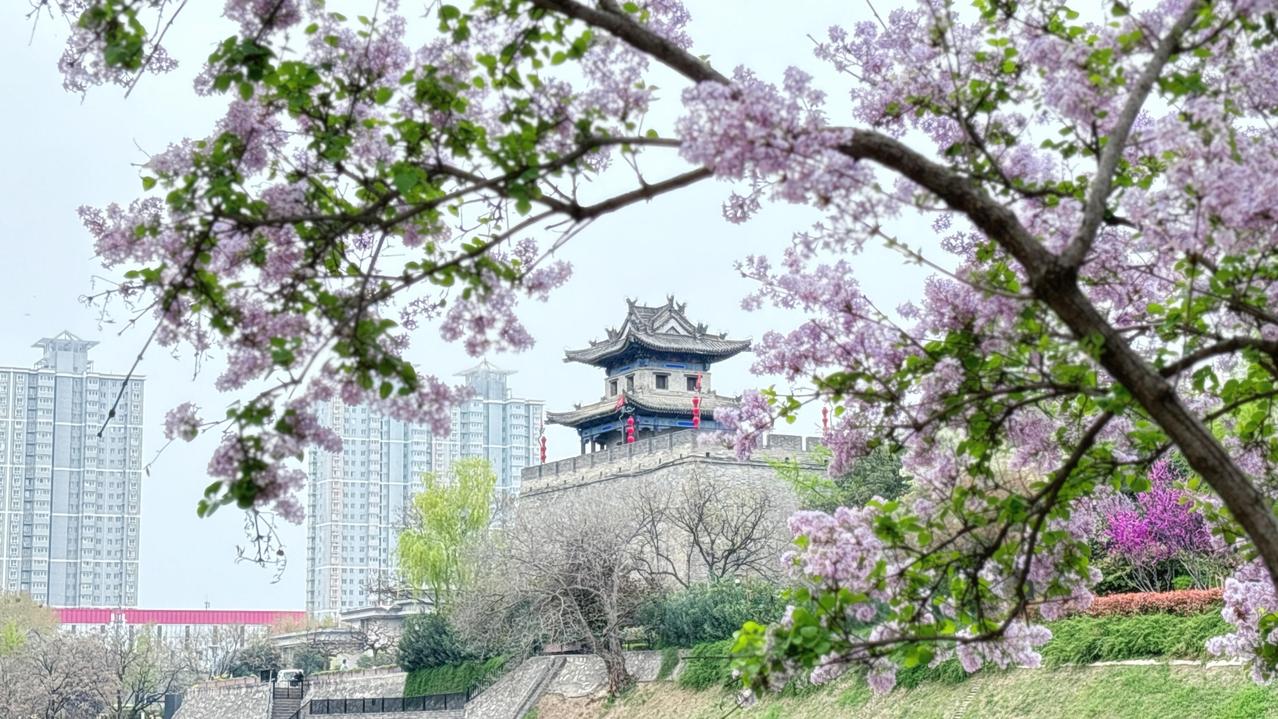 四月再见，五月你好

时光无声，四月的尾声已在不经意间悄然而至，五月迎着渐长的日