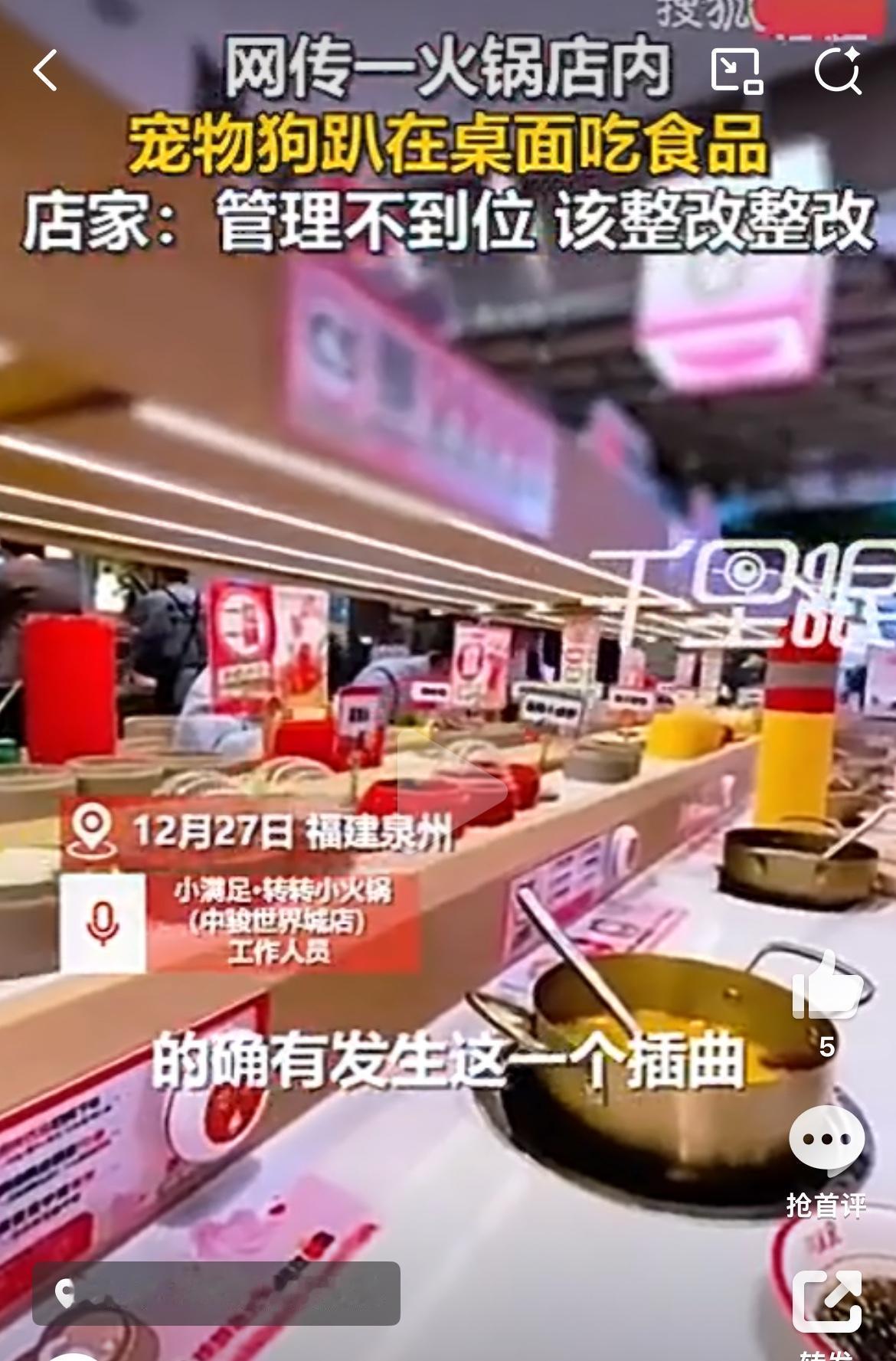 12月27日，福建泉州城东一商场小满足旋转小火锅店内，一名女顾客将宠物狗放上餐桌