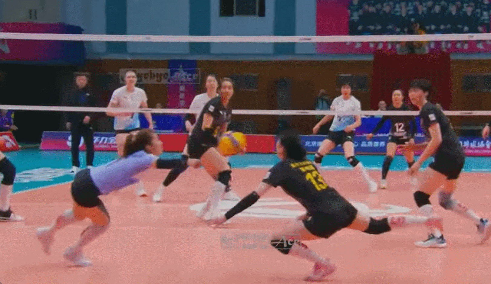 排超联赛河南双汇女排歌星惨遭队友王思敏双重“打”击 