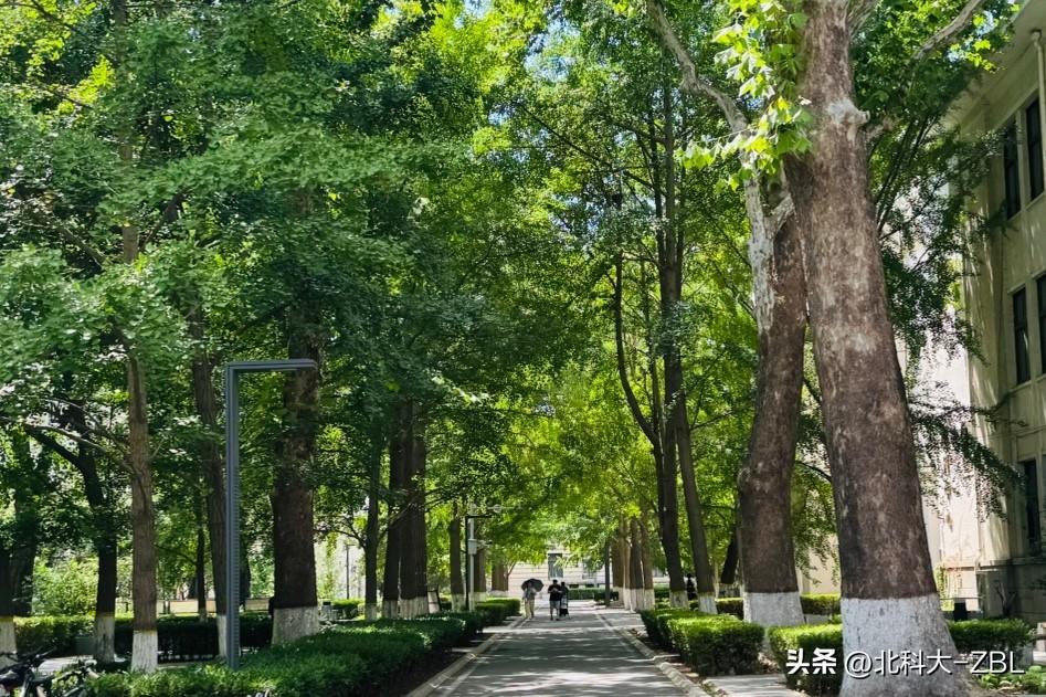 恒兴股份表现尚可，下一只新股是谁？

恒兴股份虽然题材一般，但今天表现还是可圈可