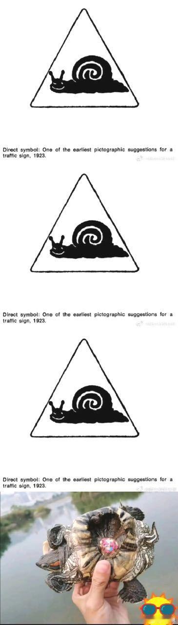 【油漆龟】背上有油漆图案的小乌龟长大后，希望不要助长这种昧良心生意了 