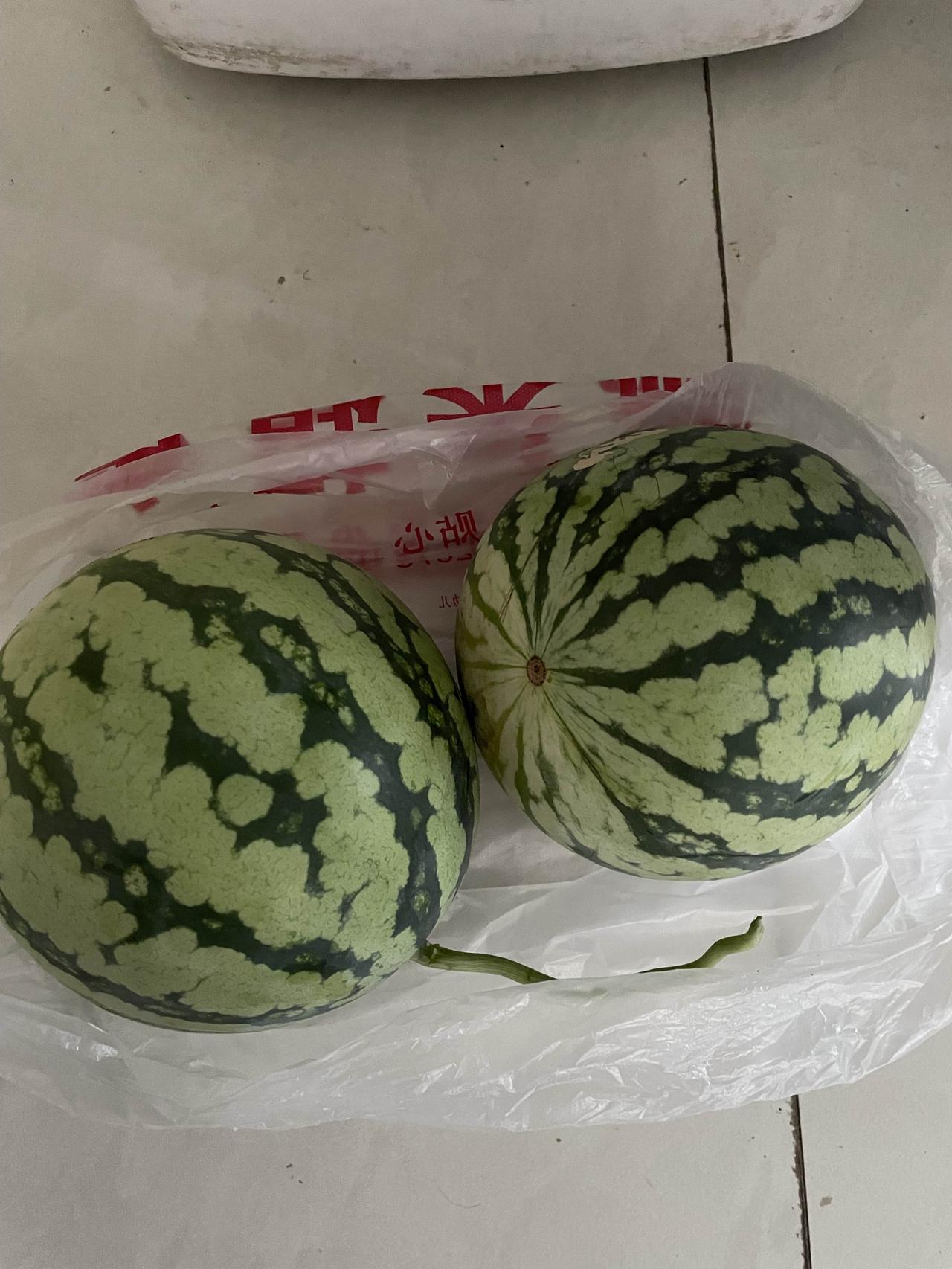 今年淮南西瓜又是大丰收，由于日照充足，雨量适中，西瓜好吃不贵。淮南老龙眼水库西边