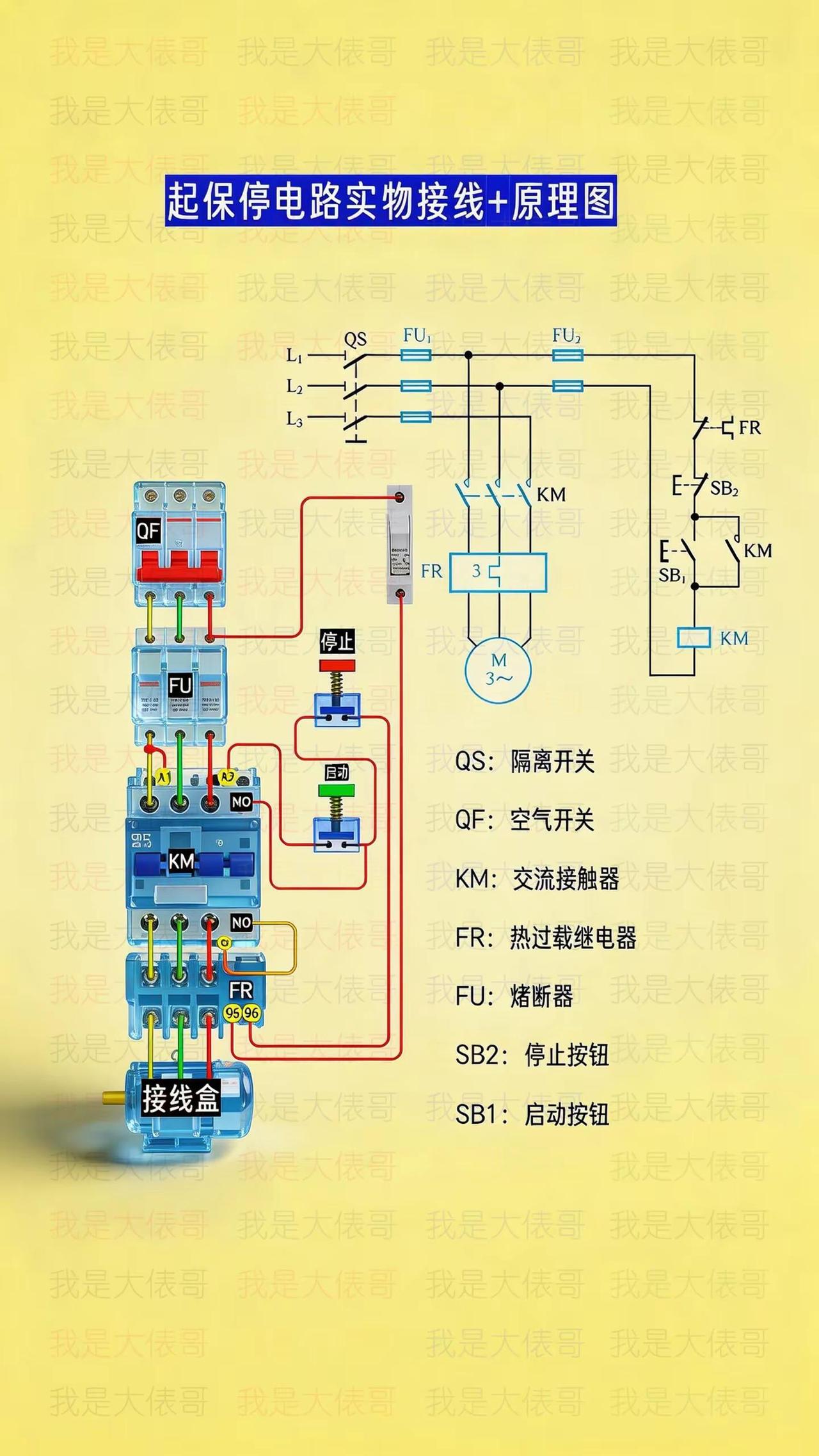 起保停电路实物接线分享。零基础学电工 电工知识 电工教学 电工接线