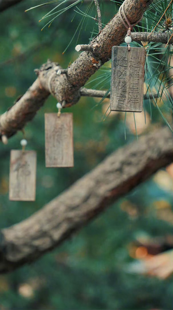 千人同茶不同味，万人同道不同心，有人理解我之幸，无人理解我独行。