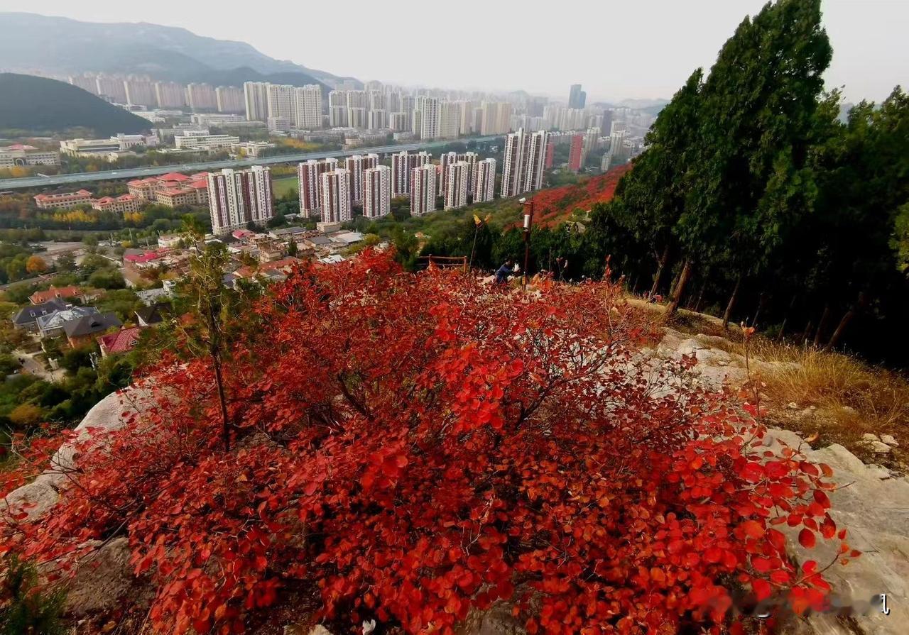 条友这一周 
深秋时，这里更是绚烂。漫山红叶进入最佳观赏期，绚秋湖倒映五彩秋景。