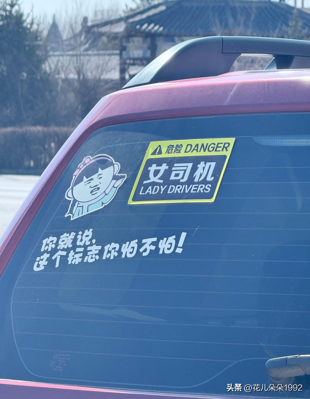 看见这车贴真气不打一处来
自己给自己贴标签
      因不知车贴主人性别先不妄