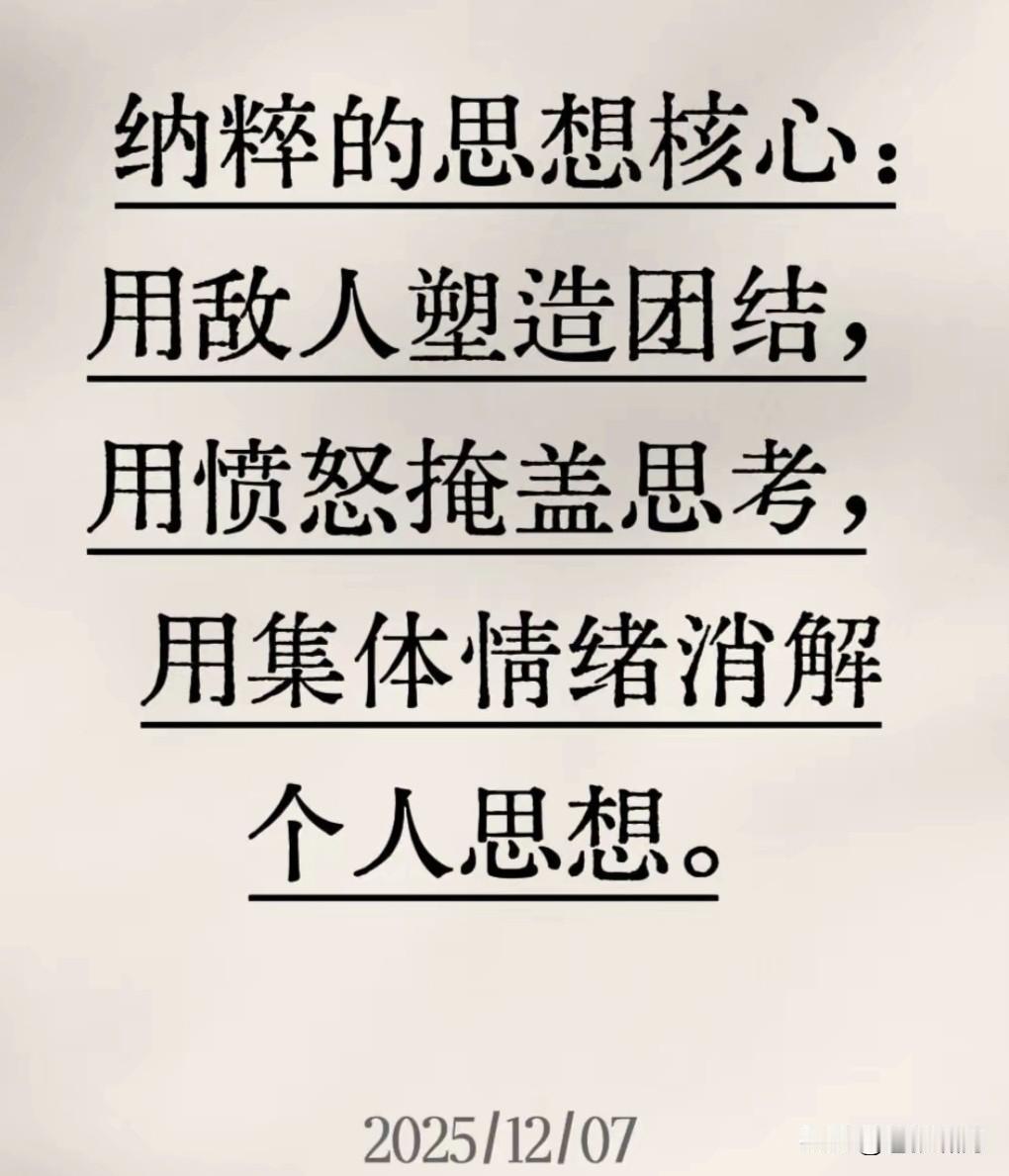 什么是纳粹？网友如此说:纳粹的思想核心，是用敌人塑造团结，用愤怒掩盖思考，用集体