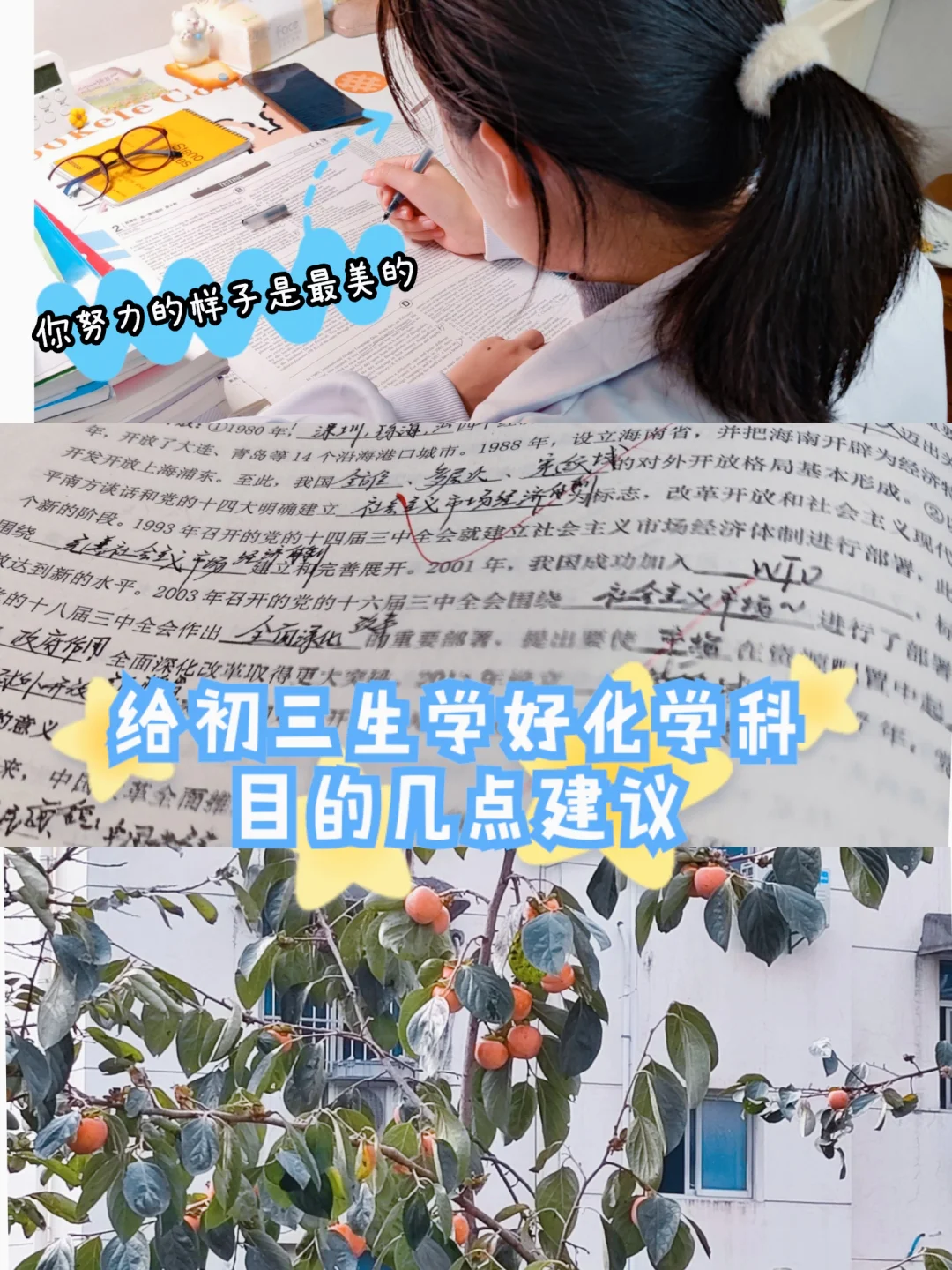 给初三生学好化学科目的几点建议✨✨