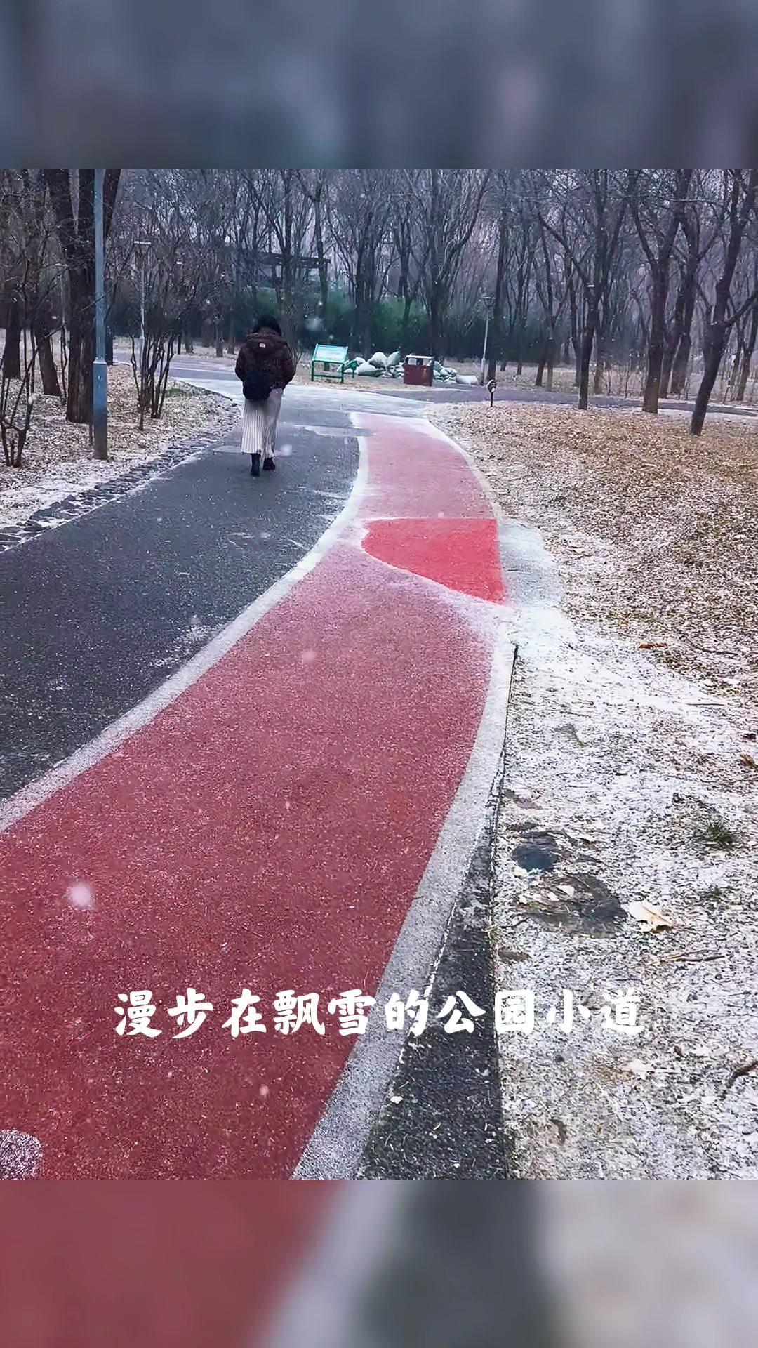 走在飘雪的公园小道，脚下咯吱咯吱响，特别治愈。看人们在雪中悠然前行，有的打雪仗，