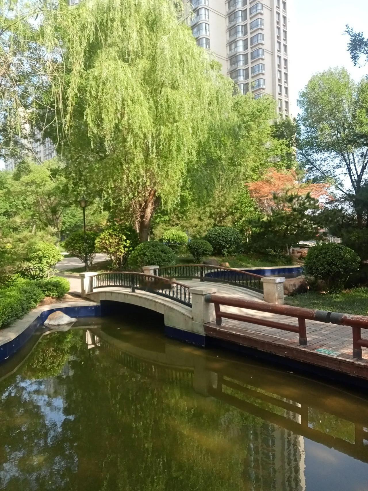 肯定比现在高。养老金虽说年年上调，不过涨幅呈下降趋势，而且未来是否继续上调也难以