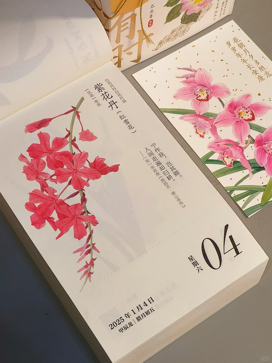 赠🎁2025神仙日历就这么水灵灵地出现了