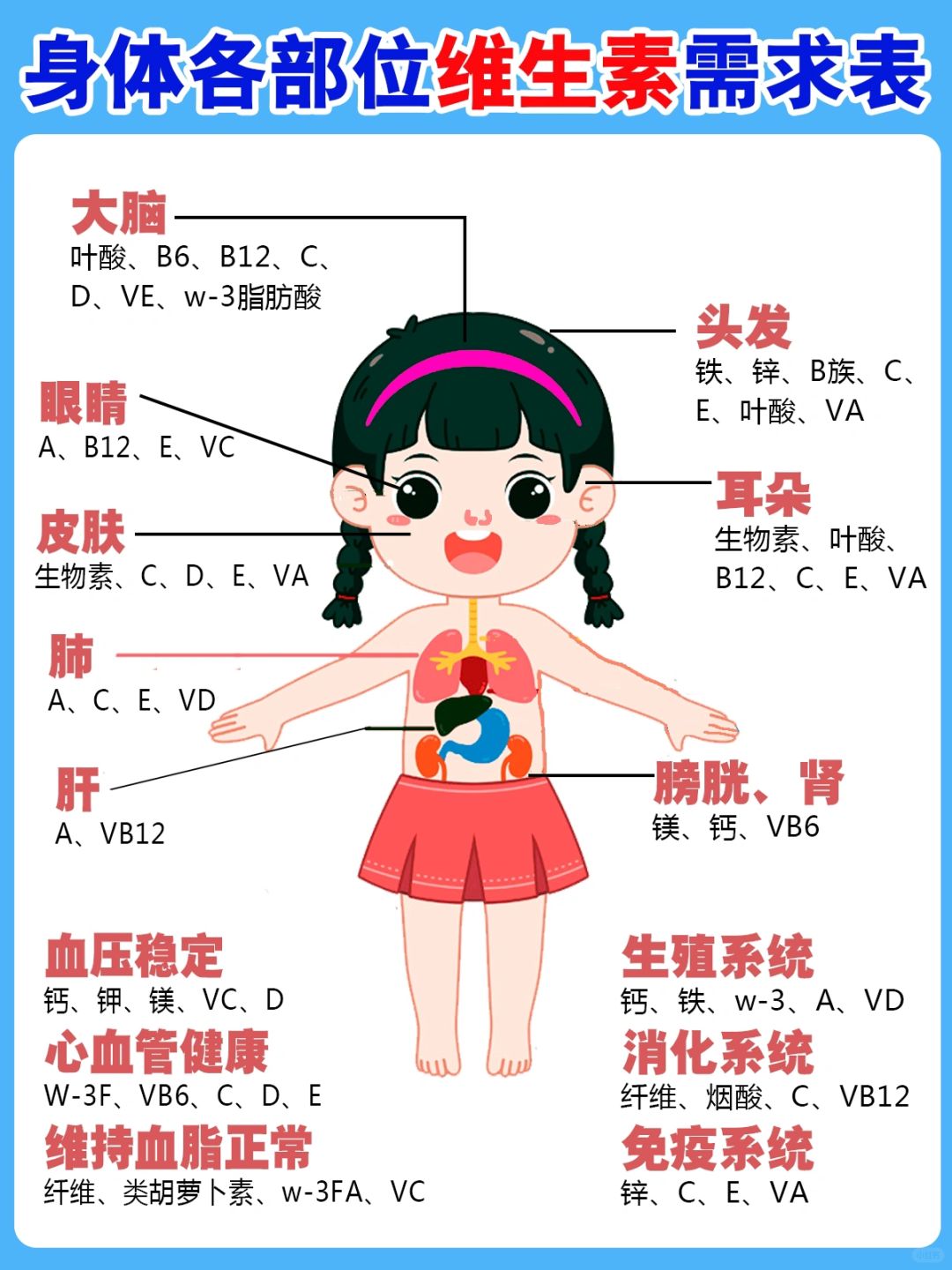 家庭版‼️身体各部位所需维生素大全！