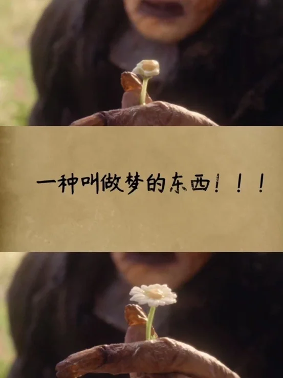 🆘🎬谁懂《狂野时代》的含金量‼️