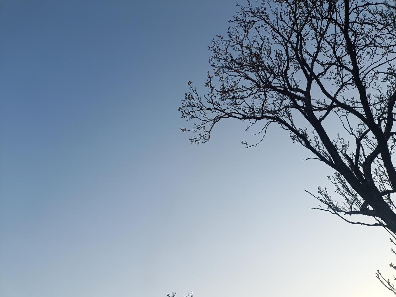 平常练的是大步整步，
真正用的时候，可以用小步碎步，
只要改变了迎敌的角度和距离