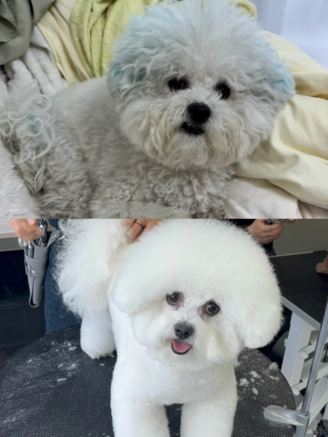 莞嫔只需略施小计 便可重获恩宠