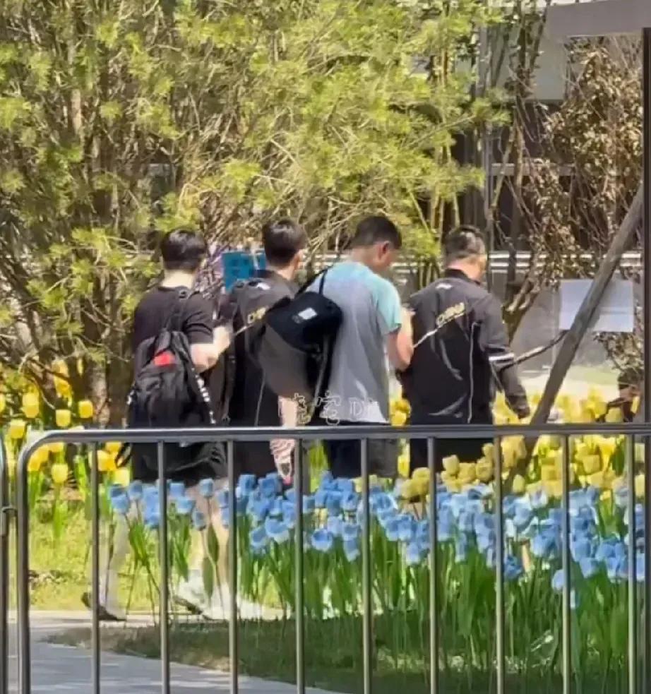今天樊振东乒超联赛，已经和队一起进行适应性训练，一切都没变他还是他，平静自然，线