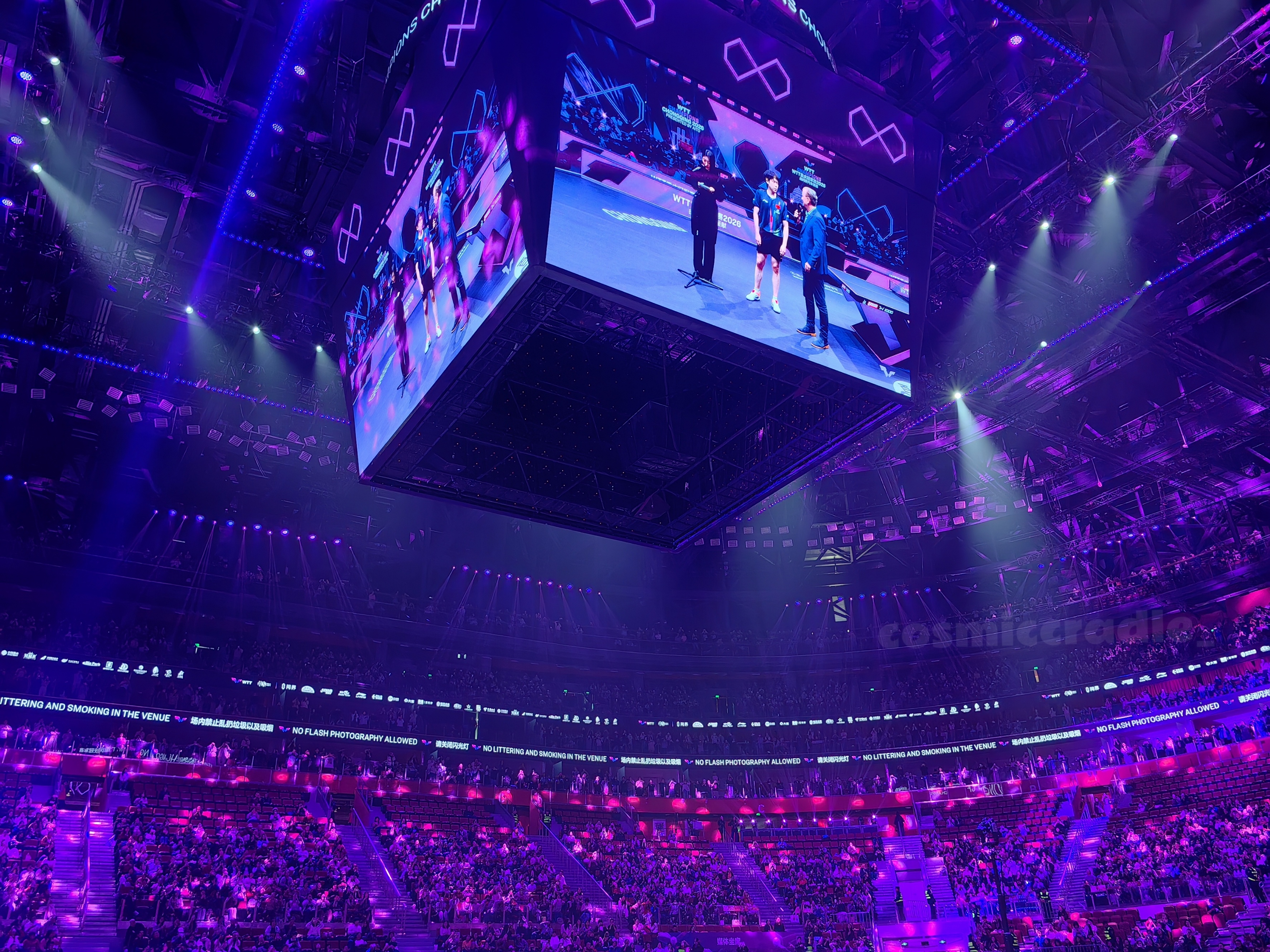 狮友会王楚钦 🦁王楚钦加油 你就是全场的焦点✨ 