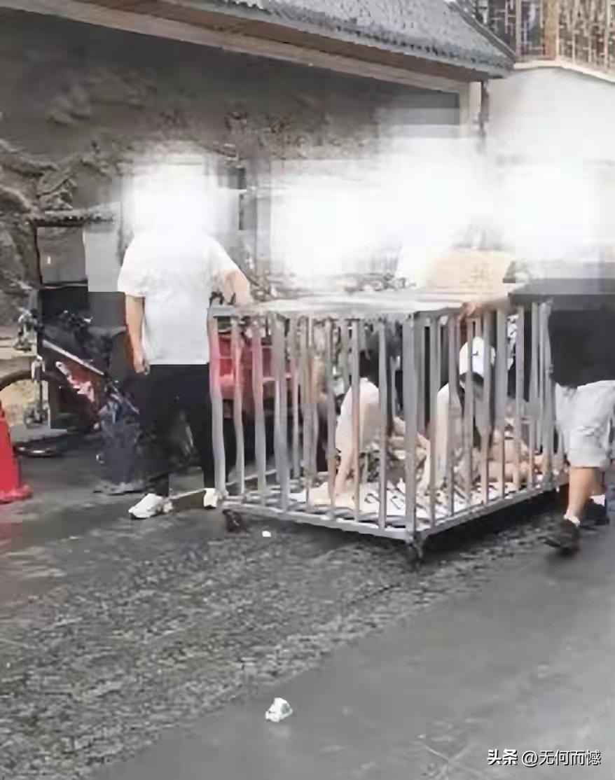 汨罗商业街铁笼关女子游街，原来是网红团队摆拍策划的，现在所有组织、参与人员全部被