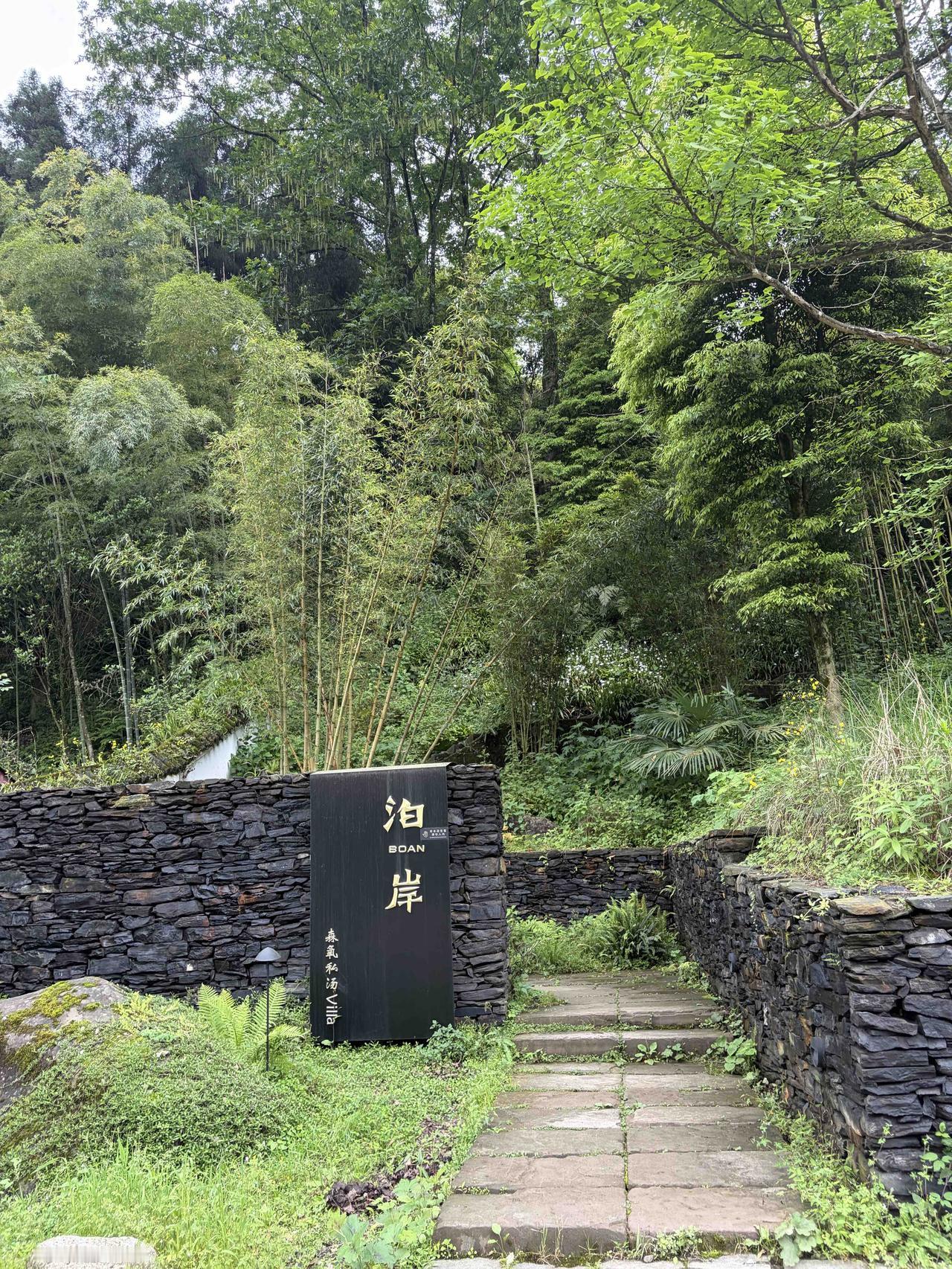 康复日记｜青城后山：一场迟来的山野疗愈

2026年05月02日 星期六 阴，山