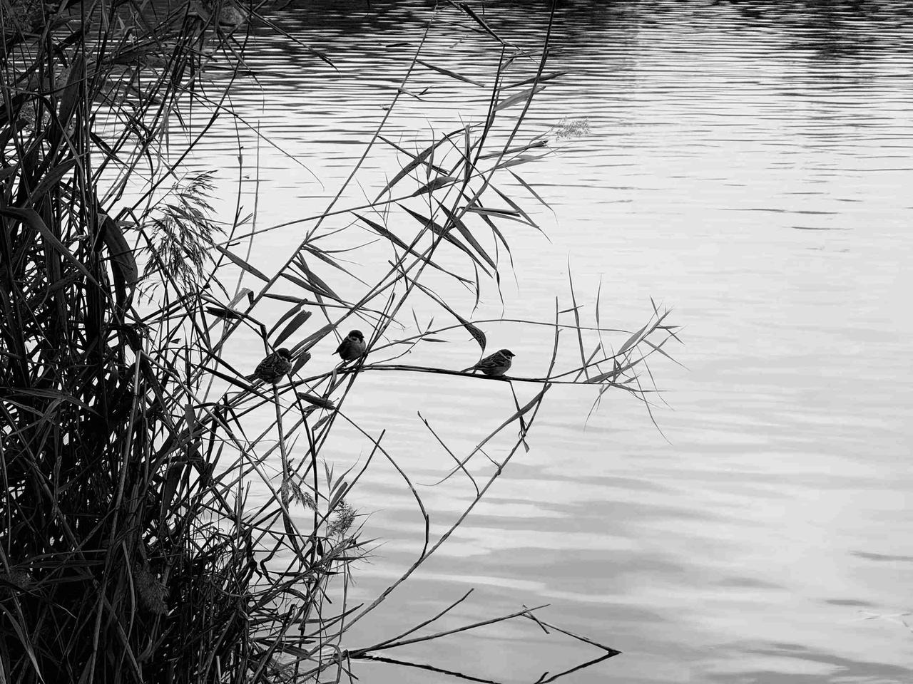 我的今日状态：😁轻松愉快
我这里的天气：🍂微风