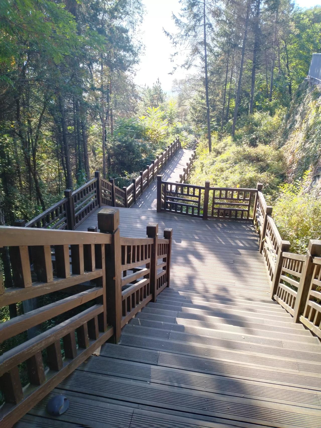 运动每日打卡山林公园经常走过这里🚶‍♂️🍃🍃📲空气新鲜💫💫游玩愉悦放