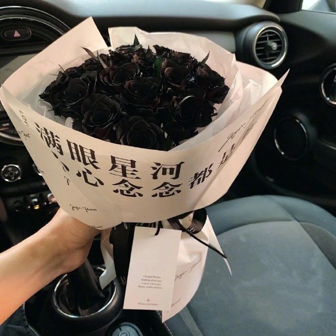 后来你遇到的人都在试探 都在权衡那些热烈坦荡勇敢专一你再也不会遇到山鸟与鱼不同路