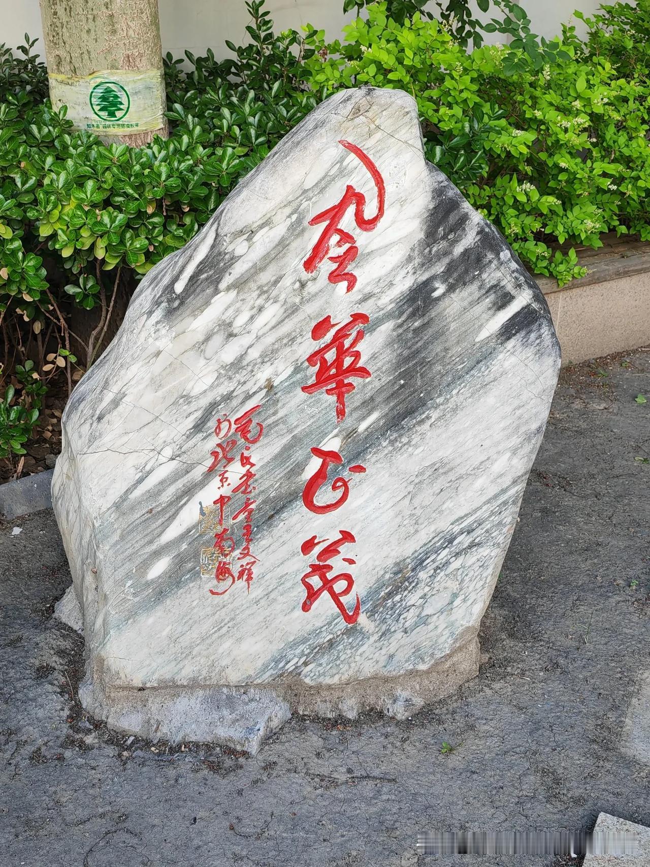 让生命绽放光彩：培养孩子的意义感

在这个快节奏、高压力的时代，我们时常会听到一
