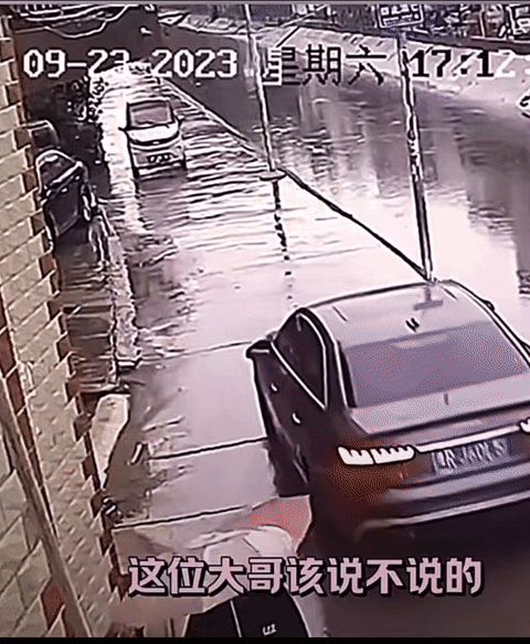 黑色小汽车为了给来车让道，把河面错看成了路面，不小心开到河里去了！司机驾驶技术不