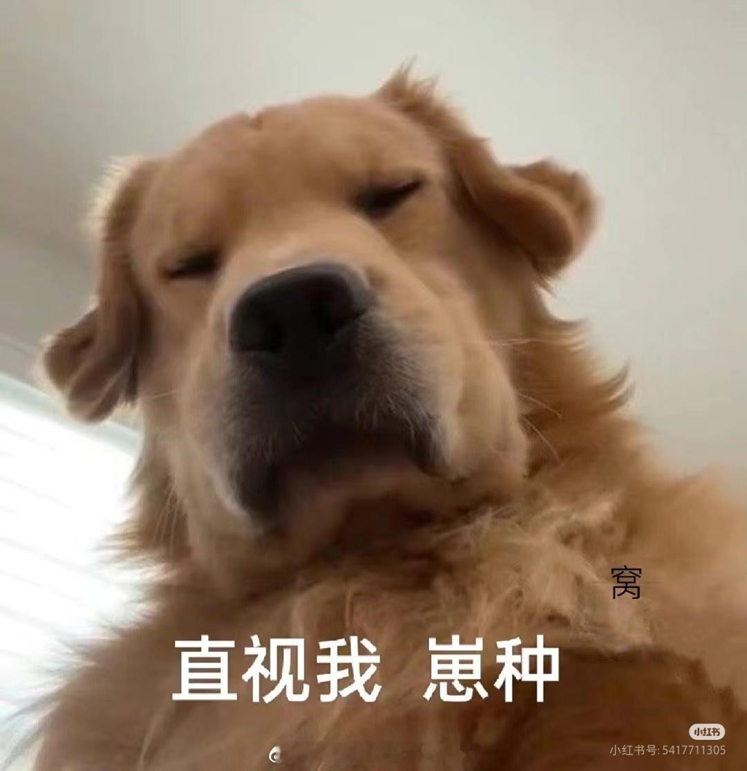 呜呜呜，不是说删评不伤豪吗，不是说没事吗[挖鼻]为什么gct时有时无，非常不稳定